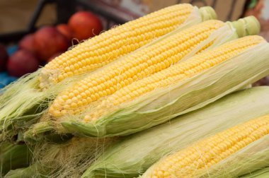 Çiftçinin pazar tezgahında masada taze mısır.