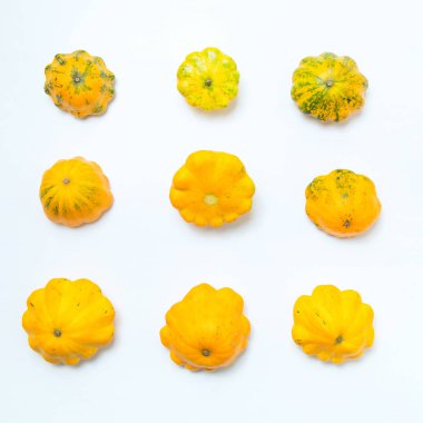 Kare görüntü - dokuz kabak. Sarı köfte ezmesi grubu, beyaz arka plan üzerinde. Sebze kavramı.