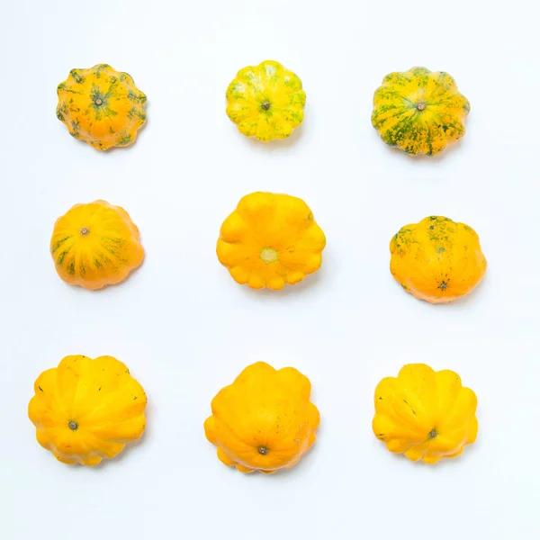 方形图像 九个壁球 一组黄色的馅饼南瓜 在白色背景上 蔬菜概念 — 图库照片