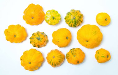 12 sarı kabak sebzesi. Grup pattypan squashes, beyaz masa arka plan üzerinde.