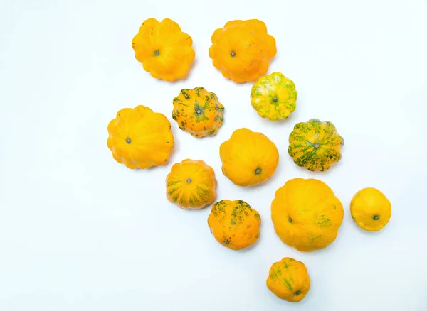 Twelve yellow squash vegetable. Group  pattypan squashes, on white table background.