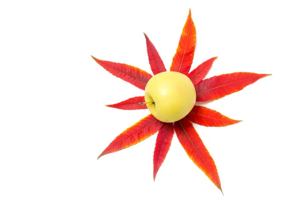 Žluté Jablko Leží Červeném Podzimním Listí Bílém Pozadí — Stock fotografie
