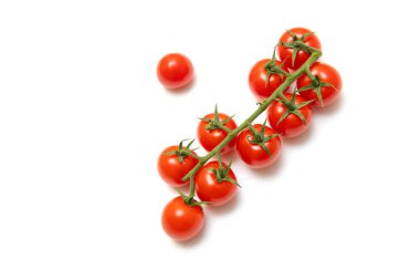 Kırmızı kiraz domateslerinden taze bir dal ve beyaz arka planda ayrı ayrı izole edilmiş bir tane..