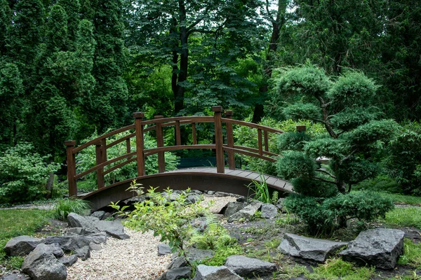 Parc Paysager Avec Des Arbres Verts Pont Style Asiatique — Photo