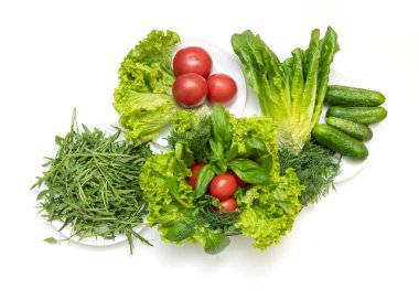 Salata, salatalık, kırmızı domates, rogula, yeşil fesleğen ve kereviz yaprağı, marul ve romaine için taze sebzeler..