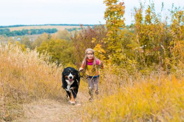 büyük köpek için yürümek ile sonbahar çayır üzerinde koşan kız