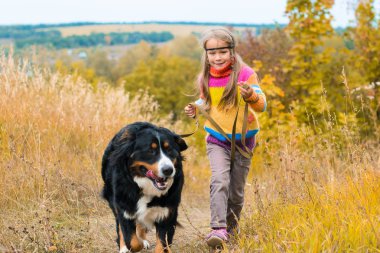 büyük köpek için yürümek ile sonbahar çayır üzerinde koşan kız