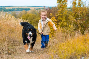 Sonbahar çayır on ile büyük köpek yürüyüş için etrafta çocuk