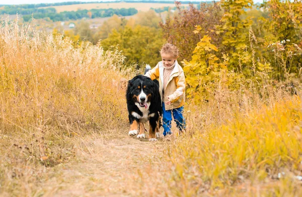 Boy Running Big Dog Walk Autumn Meadow — Stock Photo, Image