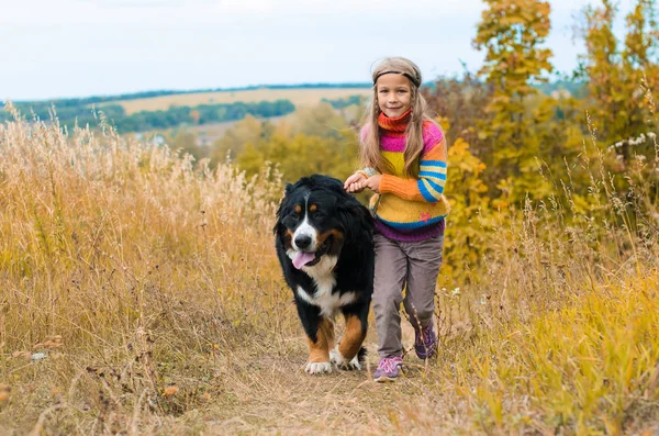 Girl Running Big Dog Walk Autumn Meadow — Stock Photo, Image