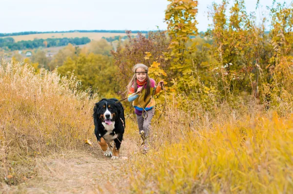 girl running with big dog for walk on autumn meadow