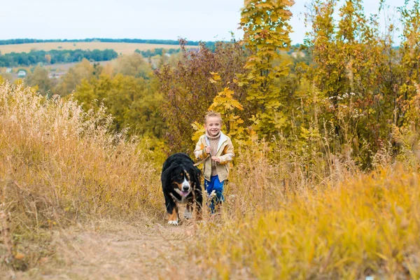 Junge Läuft Mit Großem Hund Auf Herbstwiese Spazieren — Stockfoto