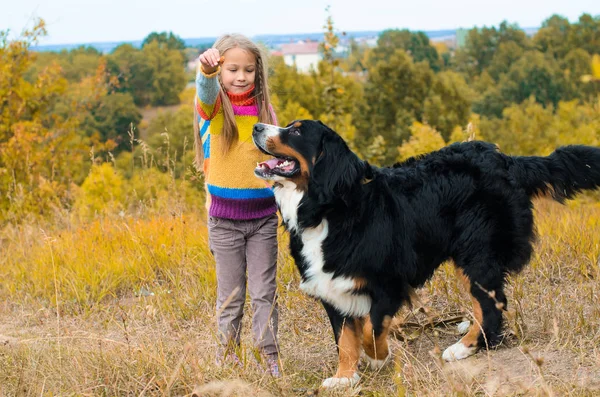 Girl Feeding Big Dog Autumn Walk — Stock Photo, Image