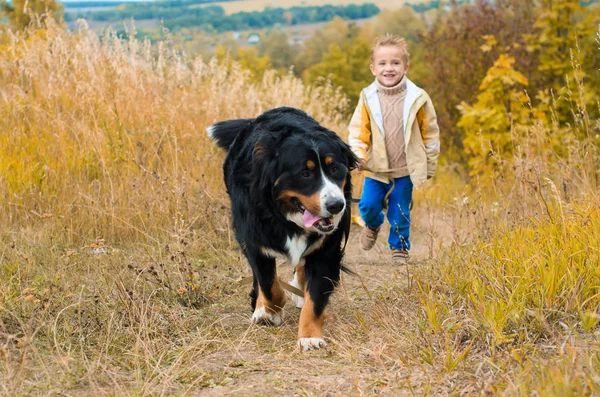 Sonbahar çayır on ile büyük köpek yürüyüş için etrafta çocuk
