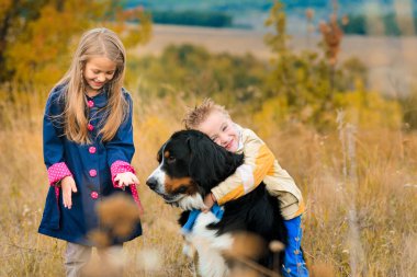 kardeşim ve kız kardeşi üzerinde yüceliğini köpek arkadaşı ile sonbahar çayır nın Sennenhund yürümek
