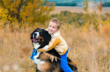 sevimli çocuk onun köpek yürümek-den geçerek sonbahar çayır nın Sennenhun sarılma sarı ceketli