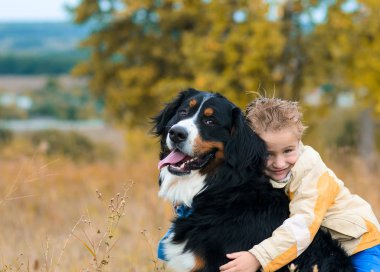 sevimli çocuk onun köpek yürümek-den geçerek sonbahar çayır nın Sennenhun sarılma sarı ceketli