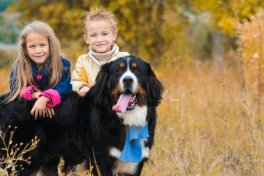kardeşim ve kız kardeşi üzerinde yüceliğini köpek arkadaşı ile sonbahar çayır nın Sennenhund yürümek