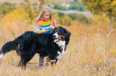 yürüyüşte kız dört-uzun bacaklı arkadaşı üzerinde sonbahar nın Sennenhund alanları