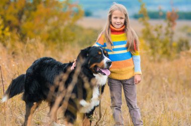 yürüyüşte kız dört-uzun bacaklı arkadaşı üzerinde sonbahar nın Sennenhund alanları