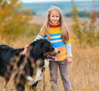 yürüyüşte kız dört-uzun bacaklı arkadaşı üzerinde sonbahar nın Sennenhund alanları
