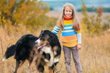yürüyüşte kız dört-uzun bacaklı arkadaşı üzerinde sonbahar nın Sennenhund alanları