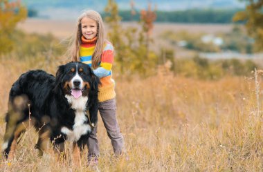 yürüyüşte kız dört-uzun bacaklı arkadaşı üzerinde sonbahar nın Sennenhund alanları