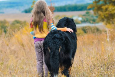 girl on walk with her four-legged friend on autumn fields Berner Sennenhund clipart