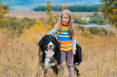 yürüyüşte kız dört-uzun bacaklı arkadaşı üzerinde sonbahar nın Sennenhund alanları