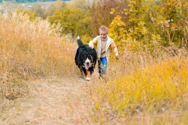 çocuk ile büyük köpek yarışı nın Sennenhund sonbahar tepelerde çalışır