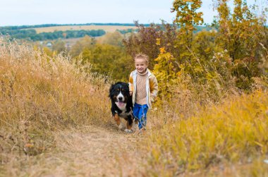 çocuk ile büyük köpek yarışı nın Sennenhund sonbahar tepelerde çalışır