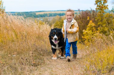 çocuk ile büyük köpek yarışı nın Sennenhund sonbahar tepelerde çalışır