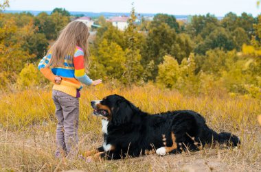 Eğitim büyük köpek yürümek-den geçerek sonbahar çayır nın Sennenhund için renkli kazak kızıdır