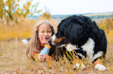 sonbahar üzerinde büyük köpek yanındaki kız yalan nın Sennenhund yürümek