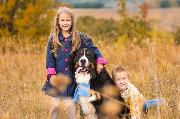 Hermano Hermana Paseo Con Amigo Perro Cuatro Patas Prado Otoño — Foto de Stock