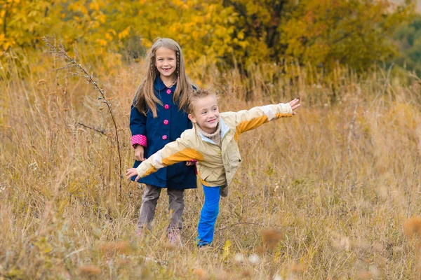 Broer Met Zuster Wandeling Door Herfst Weide — Stockfoto
