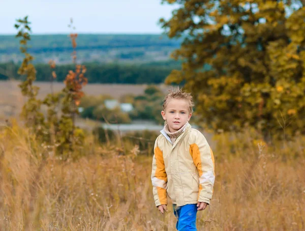 Söt Liten Pojke Gul Jacka För Promenad Hösten Äng — Stockfoto