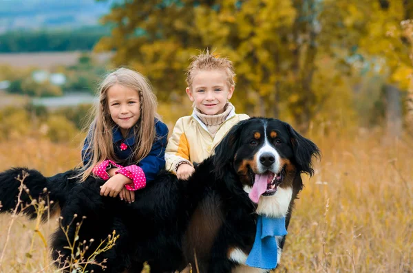 Brother His Sister Walk His Four Footed Dog Friend Autumn — Stock Photo, Image