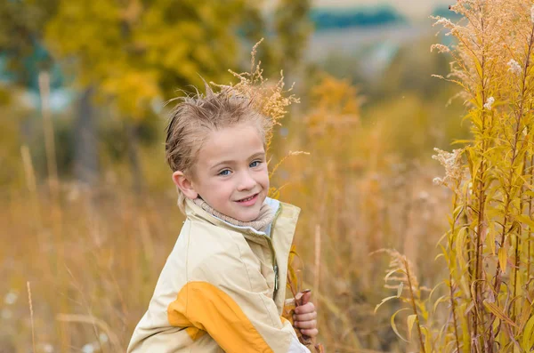 Lindo Niño Chaqueta Amarilla Para Caminar Prado Otoño —  Fotos de Stock