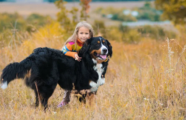 Girl Hugs Dog Walk Her Four Legged Friend Autumn Fields — Stock Photo, Image