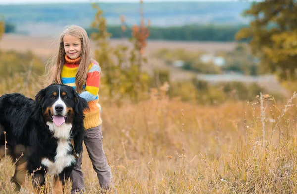 Girl Walk Her Four Legged Friend Autumn Fields Berner Sennenhund — Stock Photo, Image