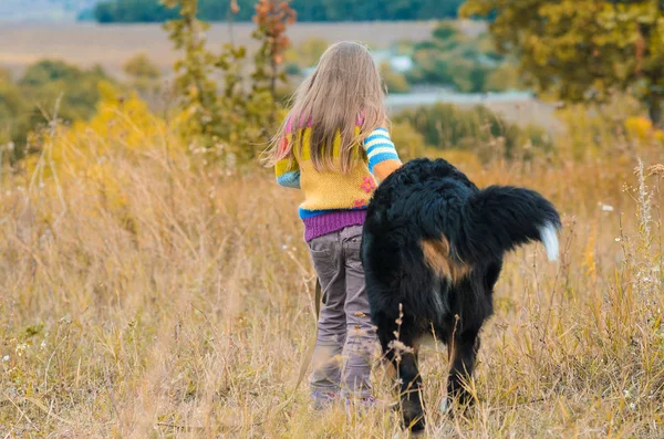 Gadis Berjalan Dengan Teman Berkaki Empat Nya Ladang Musim Gugur — Stok Foto