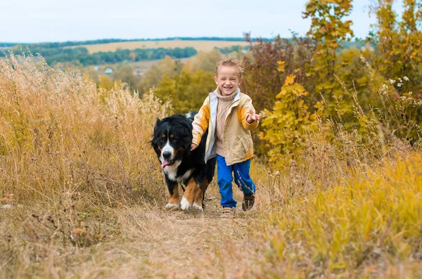 Niño Corre Con Perro Grande Las Colinas Otoño Carrera Berner — Foto de Stock