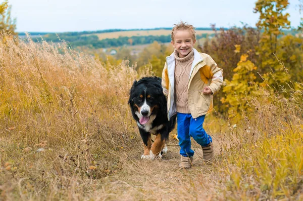 Niño Corre Con Perro Grande Las Colinas Otoño Carrera Berner — Foto de Stock