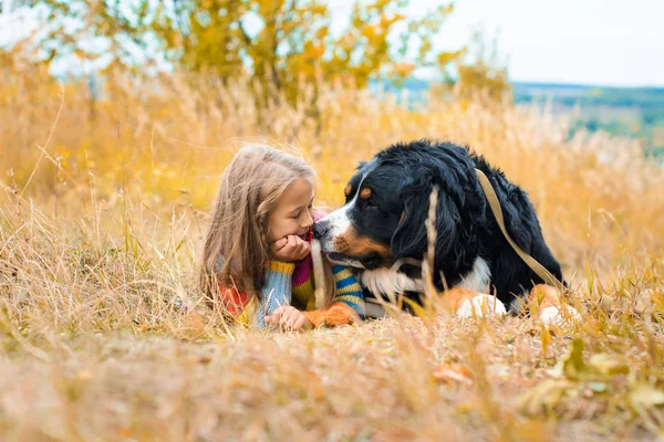 sonbahar üzerinde büyük köpek yanındaki kız yalan nın Sennenhund yürümek