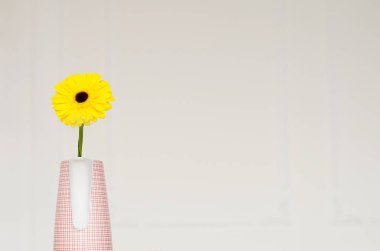 Bir çaydanlık kırmızı hücre şeklinde Vazoda bir sarı gerbera var. Arka plan ışık duvarları. Vazo yakın çekim gösterir.