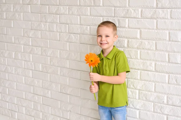 Garçon Shirt Vert Tenant Une Fleur Gerbera Orange Contre Mur — Photo