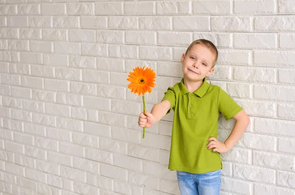 穿着绿色 T恤的男孩拿着一朵橙色的非洲菊花在白色砖墙上 — 图库照片