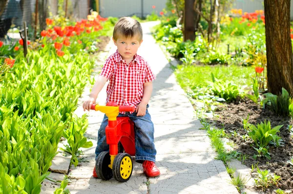 Kleine Jongen Een Kinderfiets Een Kunststof Lentetuin — Stockfoto