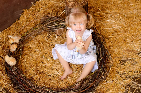 Fille Blonde Avec Des Poulets Dans Grange Dans Nid Sur — Photo